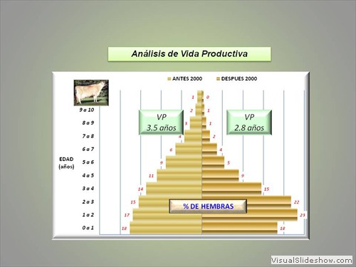 TENDENCIA VIDA PRODUCTIVA