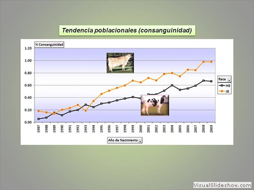 TENDENCIA CONSANGUINIDAD