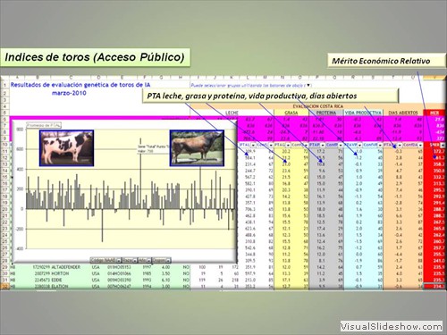 GENERACION DE INDICES PARA TOROS IA A NIVEL LOCAL