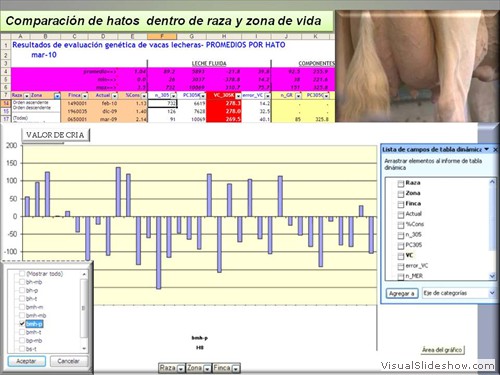 COMPARACION DE HATOS DENTRO DE ZONA Y RAZA