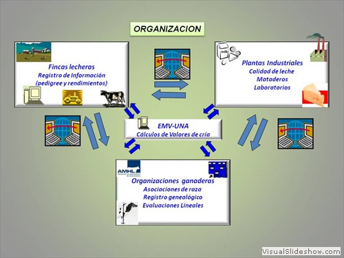 FLUJO DE INFORMACION