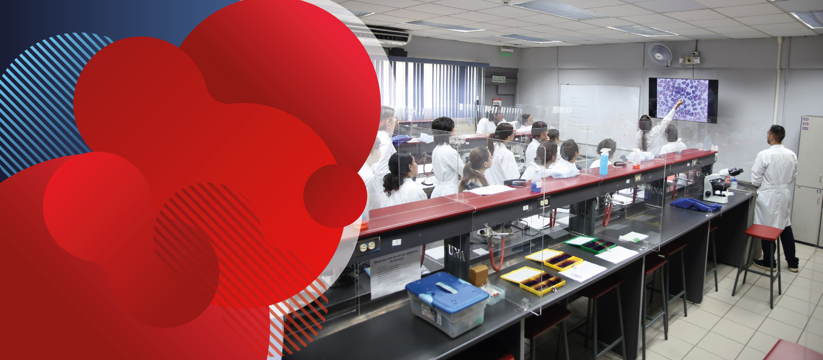 Laboratorio de Docencia