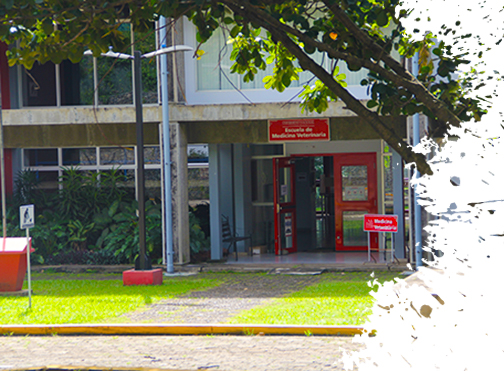 Escuela de Medicina Veterinaria